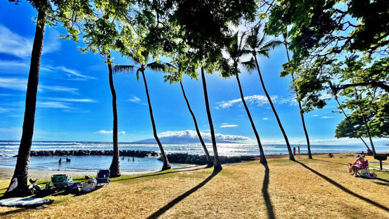 Photo of the Day: Launiupoko